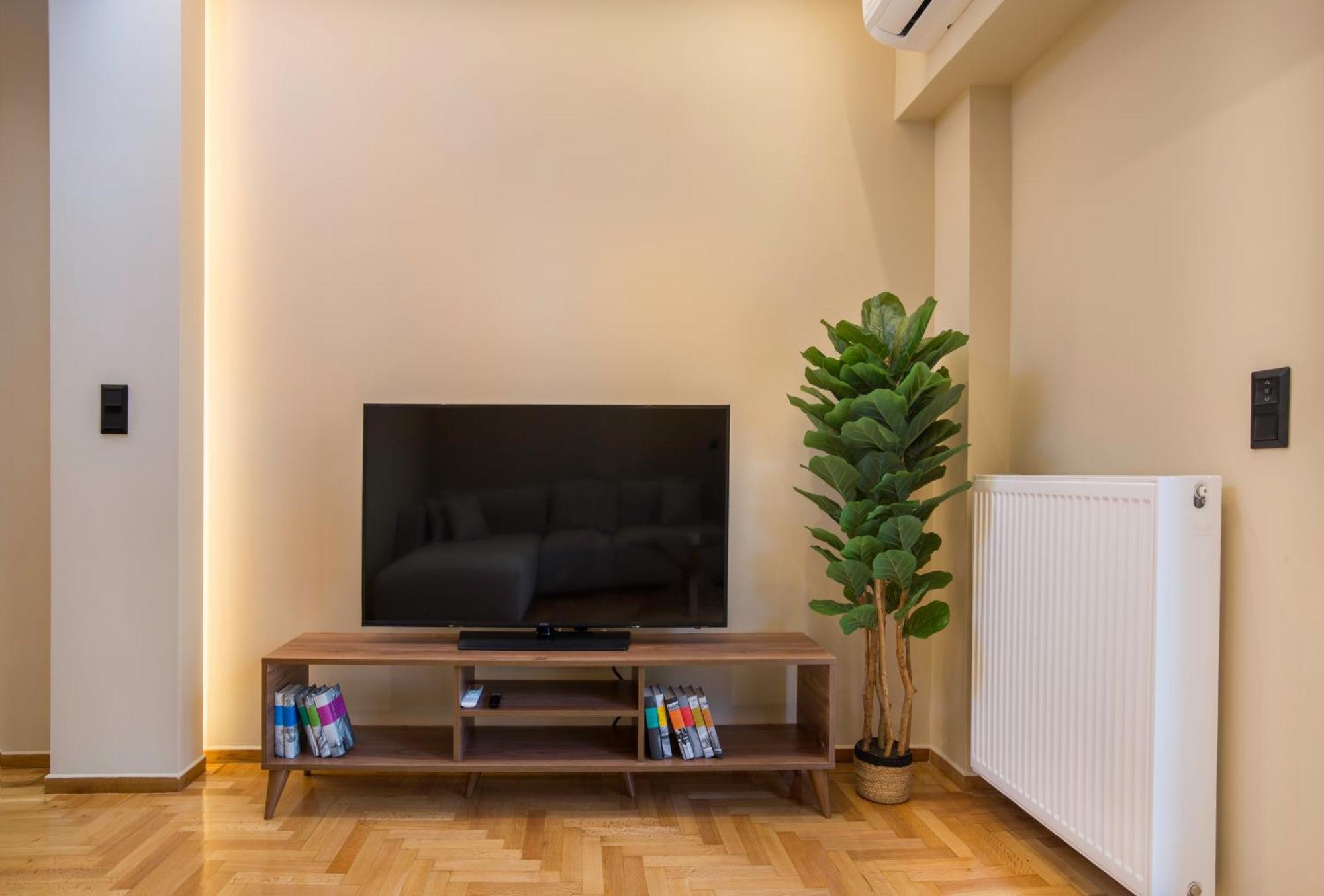 Urban Spacious Apartment Near Kallimarmaron Athens Exterior photo